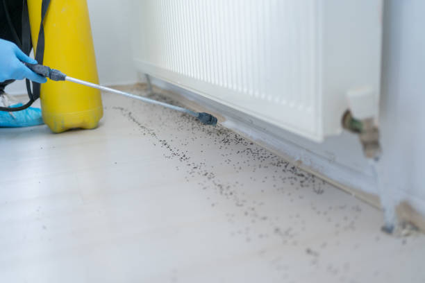 Best Pest Removal Services  in Mayer, MN
