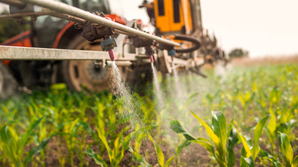 Best Pest Control Treatment  in Mayer, MN